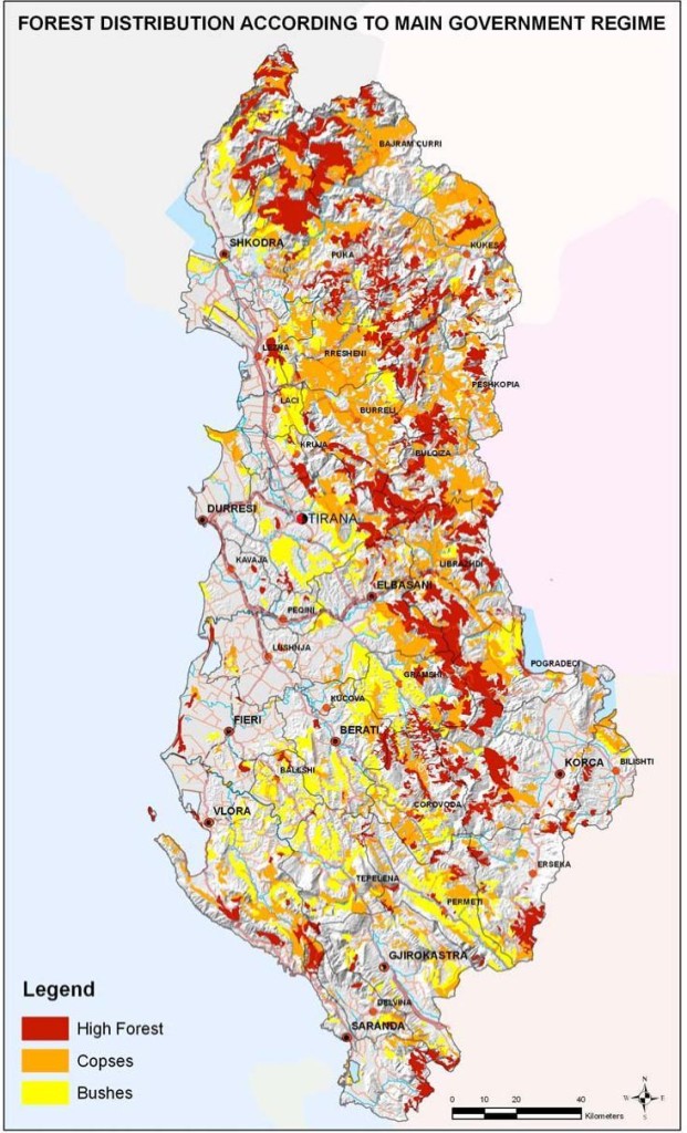 Figure 6 Territorial distributions of forest according to main government regime