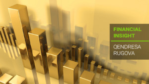 Financial-Insight-Qendresa-Rugova1